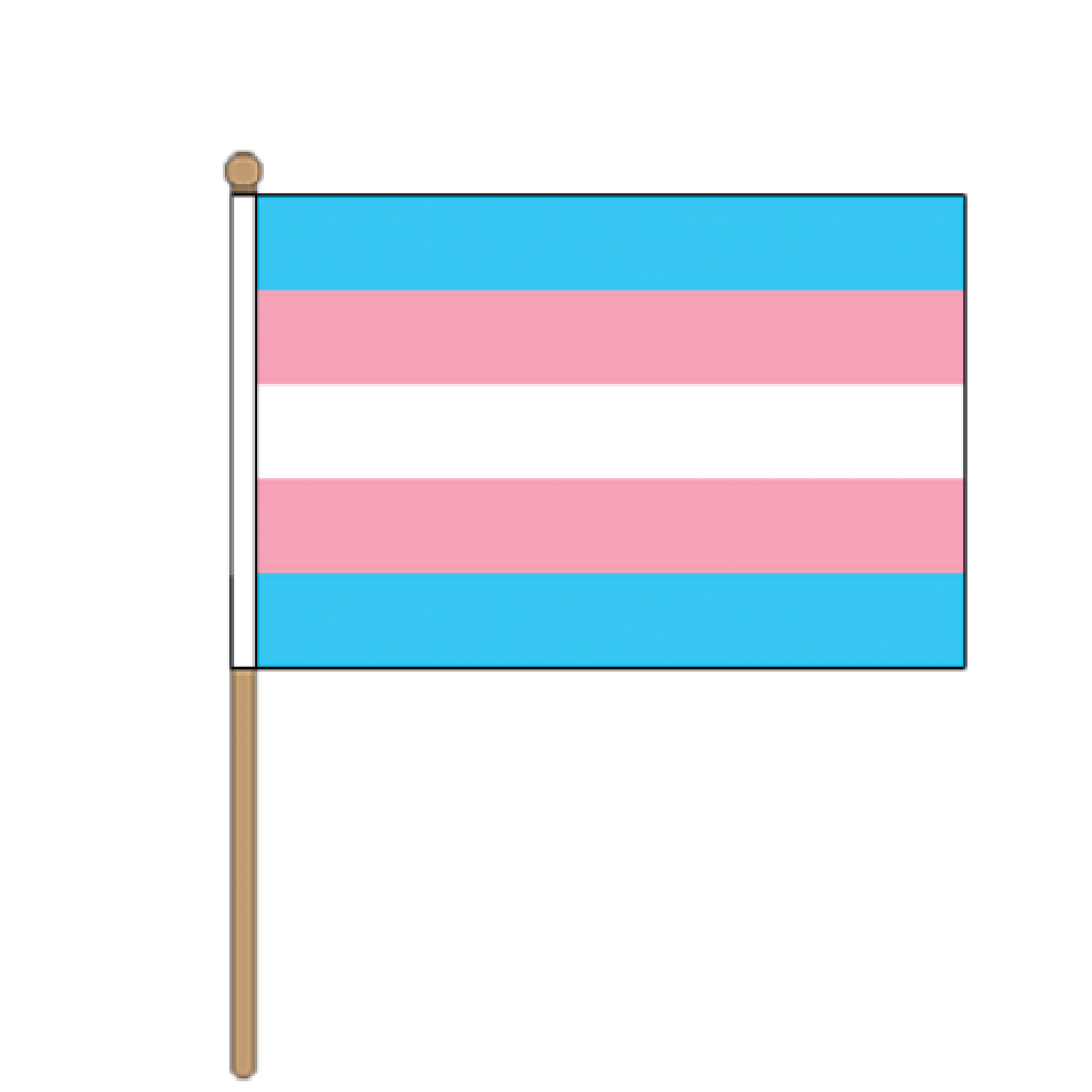 TRANS HAND FLAG - 23cm x 15cm (9" x 6")